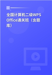 全国计算机二级WPS Office通关班（含题库）