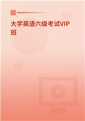 2024年大学英语六级考试VIP班