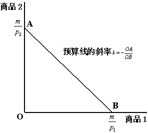 纵轴代表商品2,商品1价格为p 1,商品2价格为p 2,那么预算线的斜率为